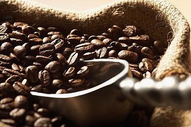 《星刃》在韩国完成评级 19岁以上方可游玩本作